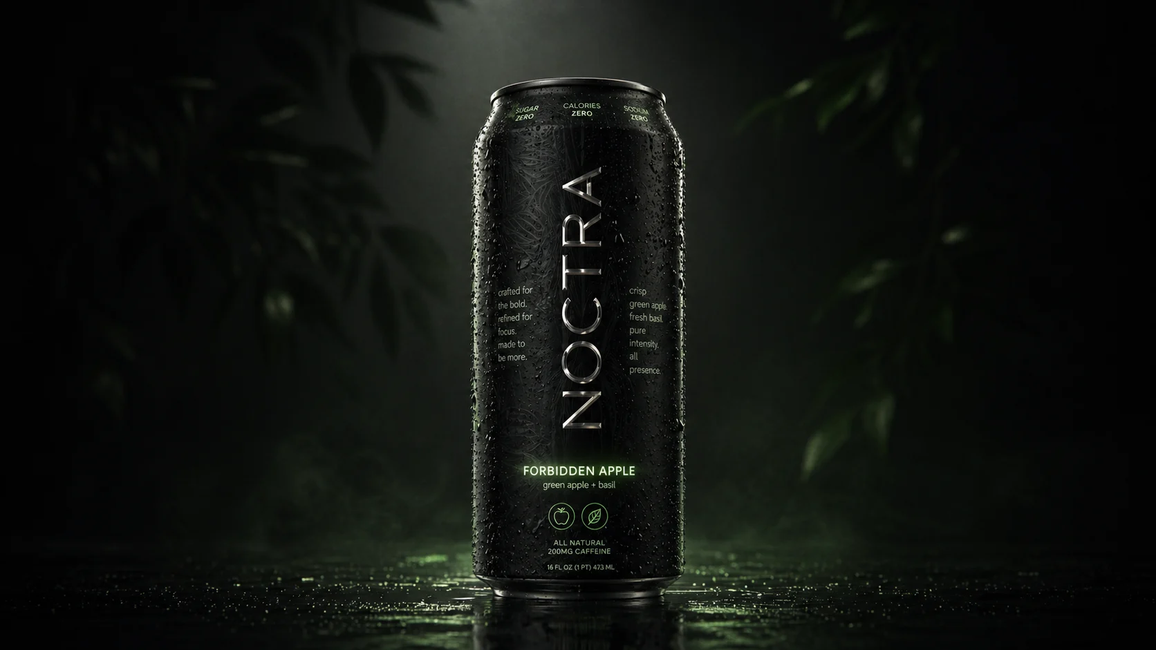 NOCTRA Visual 5