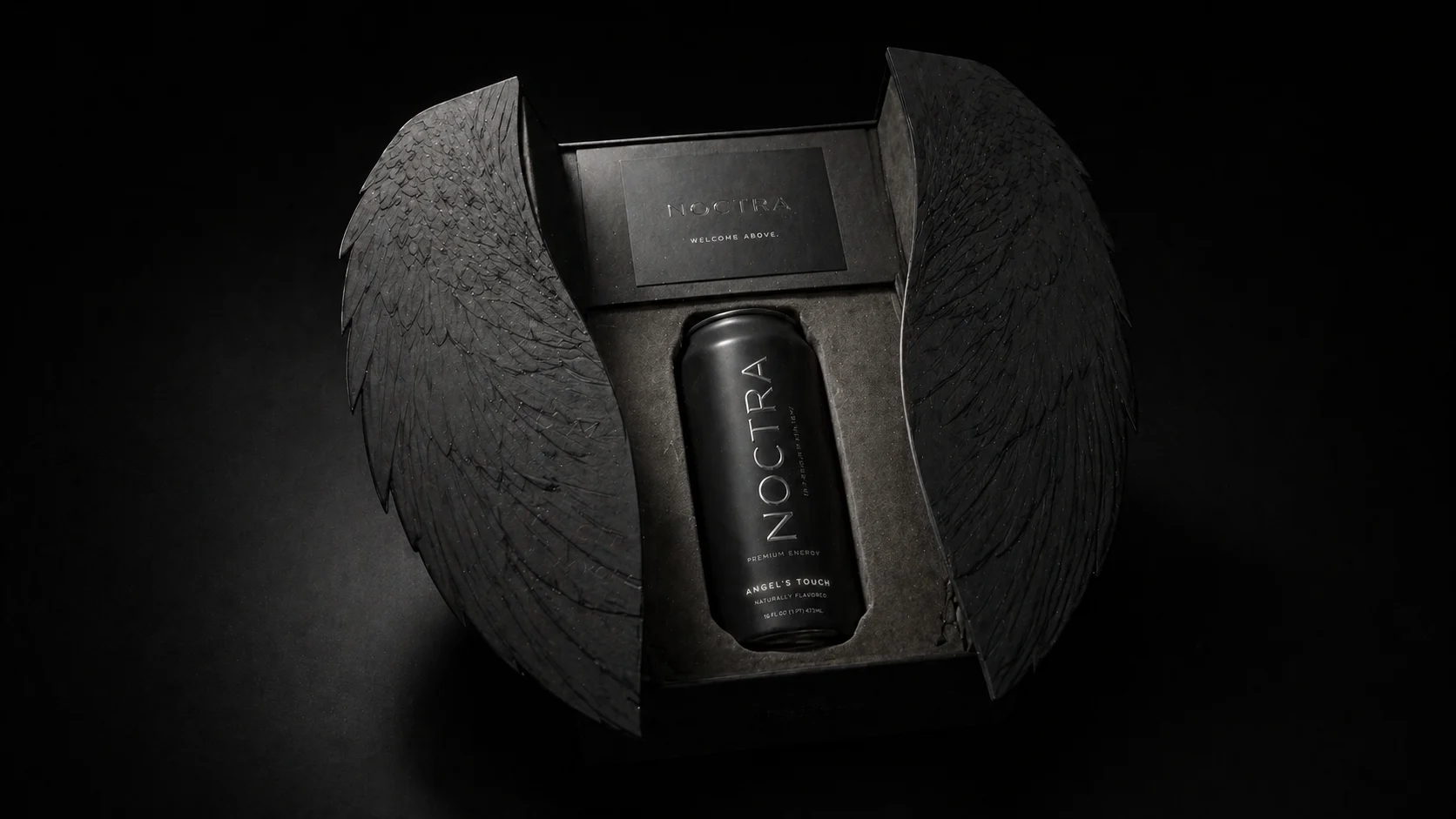 NOCTRA Visual 3